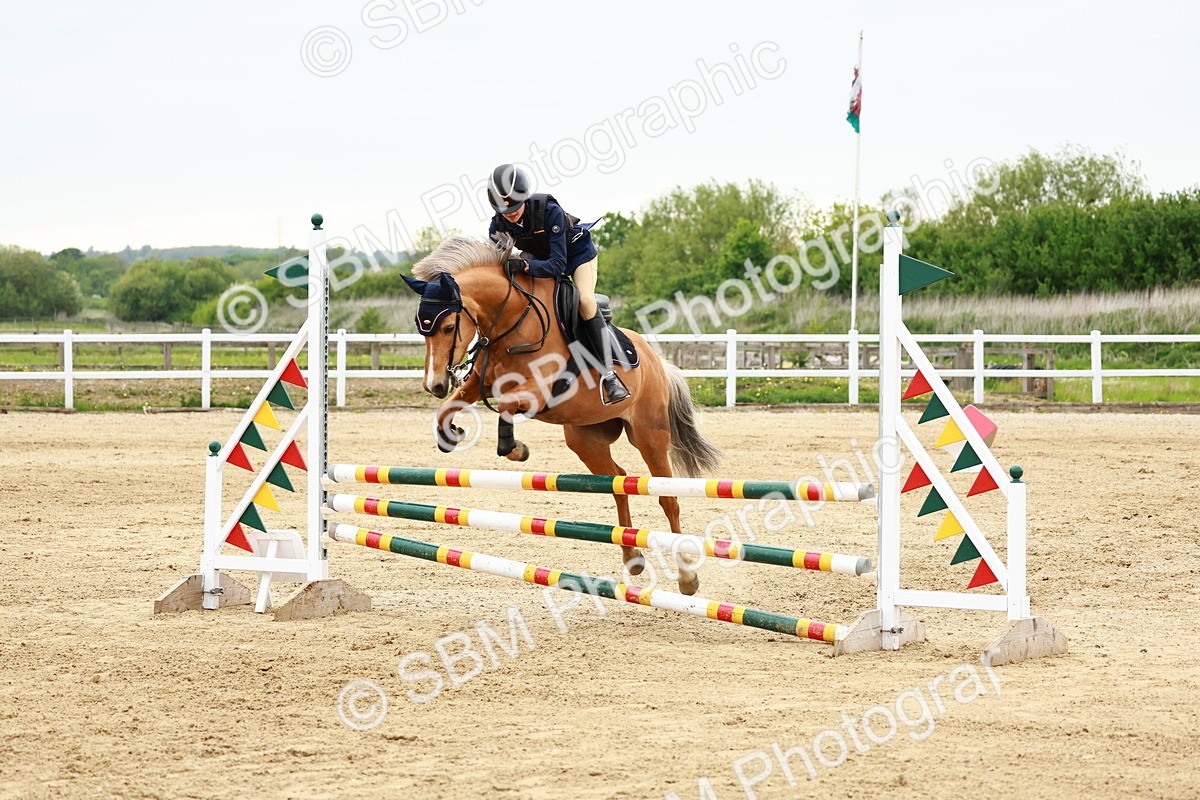 SBM_009111 - Class 5 - 80cm