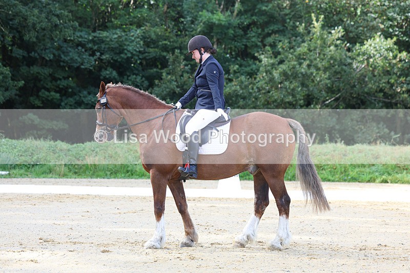 3E7A2279 - Class 1: Intro 4 2024 section A