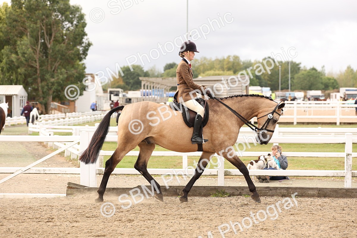 SBM_01586 - Class 52 - Ridden Veteran