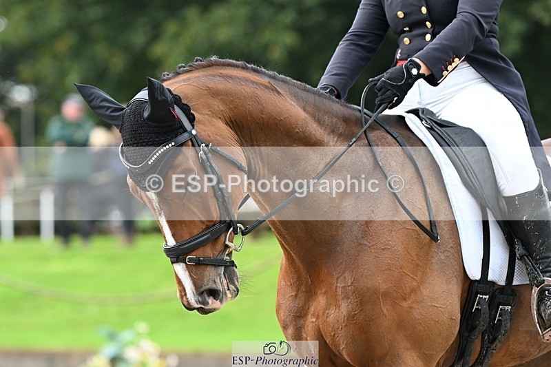 231019-105140-01665 - 034-COOLEY.PARK.MUZE-Gemma.Stevens-DR