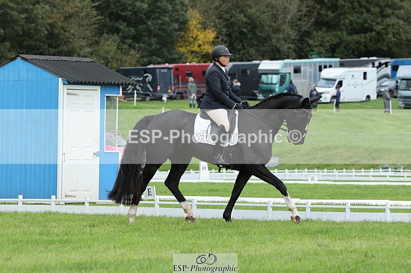 251023A-113756-03375 - D-315-Georgina.Marks