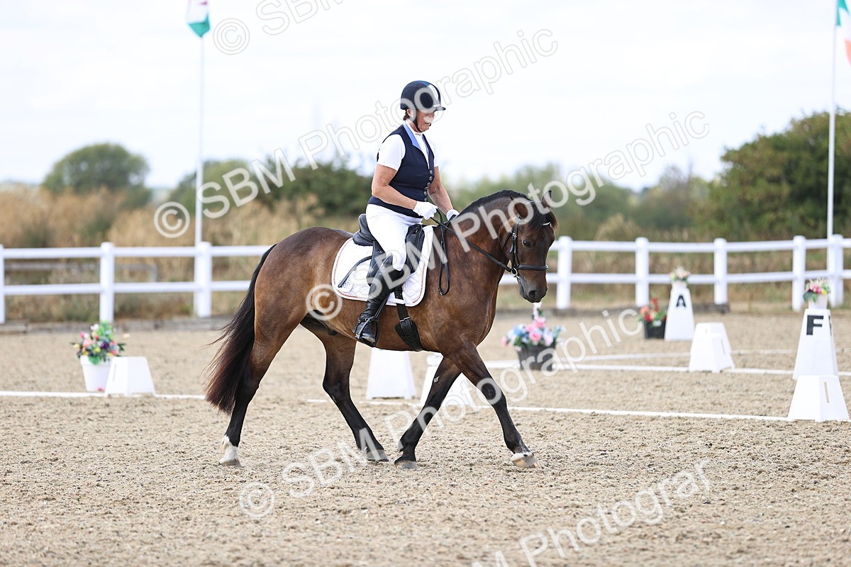 SBM_015341 - Class 5 - E5 Bronze 14.42.15.54
