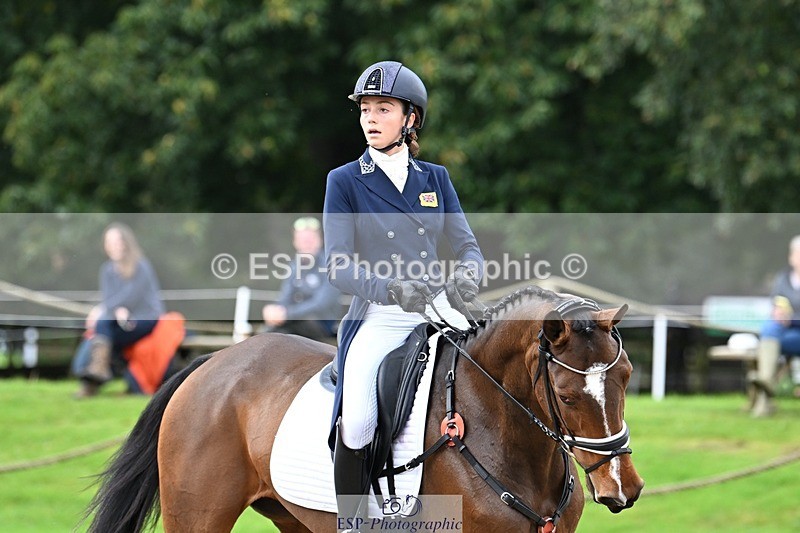 231019-122222-02742 - 044-COOLEY.ON.THE.CARDS-Charlotte.Cooke-DR