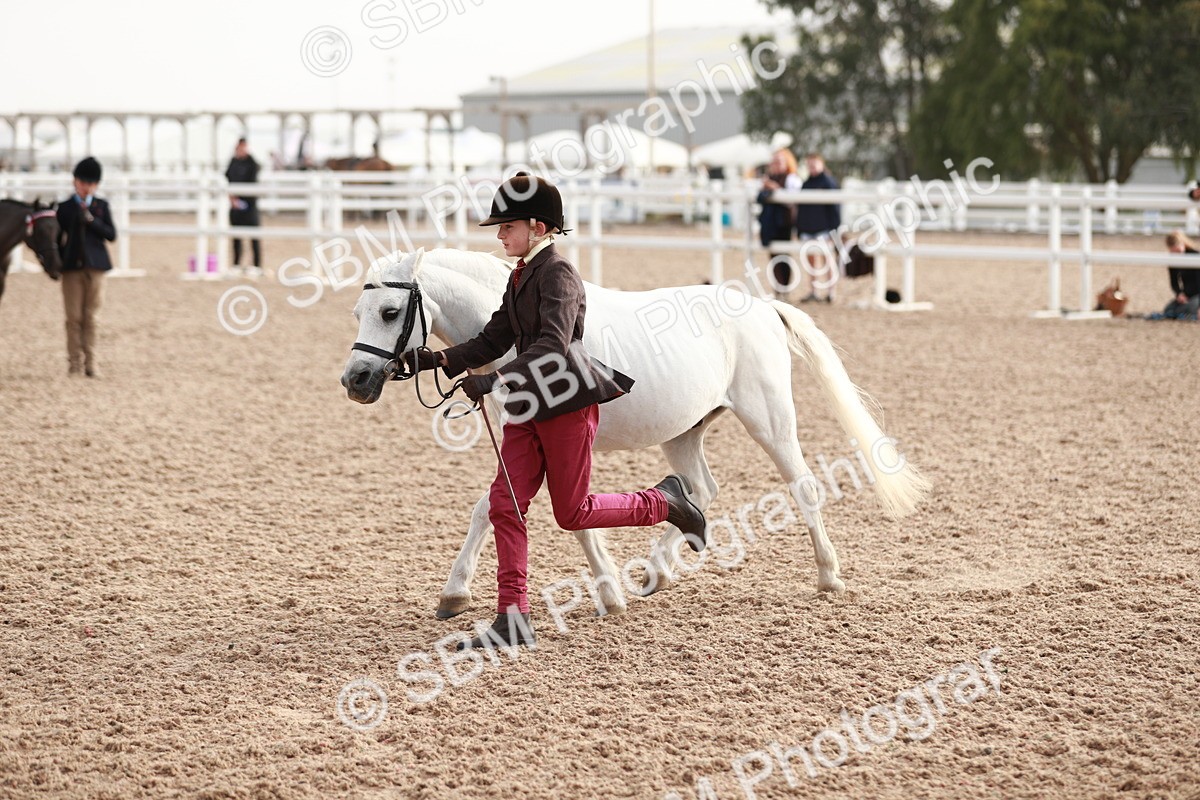 SBM_10569 - Class 204 Young Handler, 11-16 years