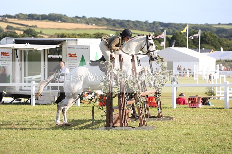 JPP_3497 - Class 22: Working Hunter 90cm