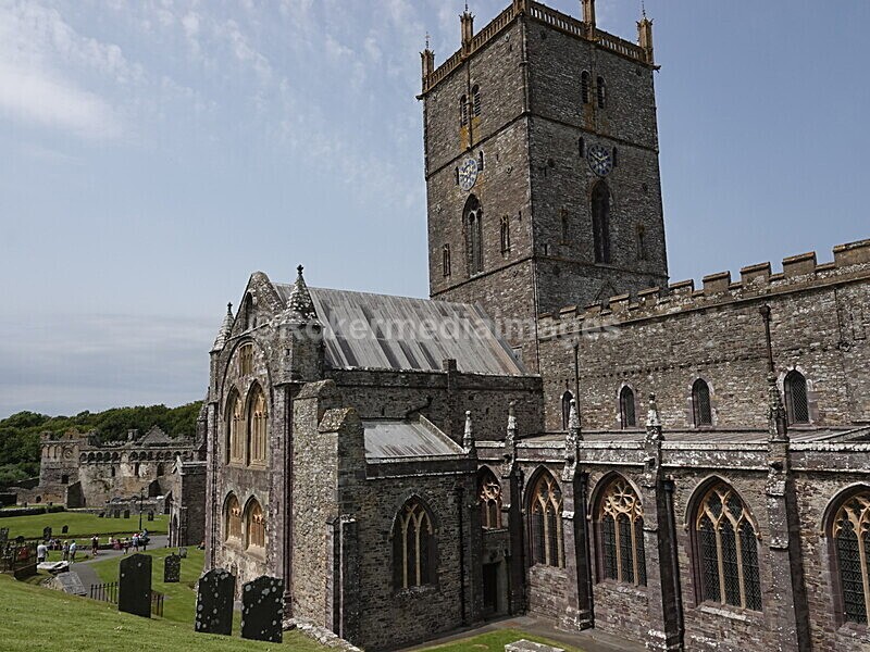 DSC00450 - Skomer 2019