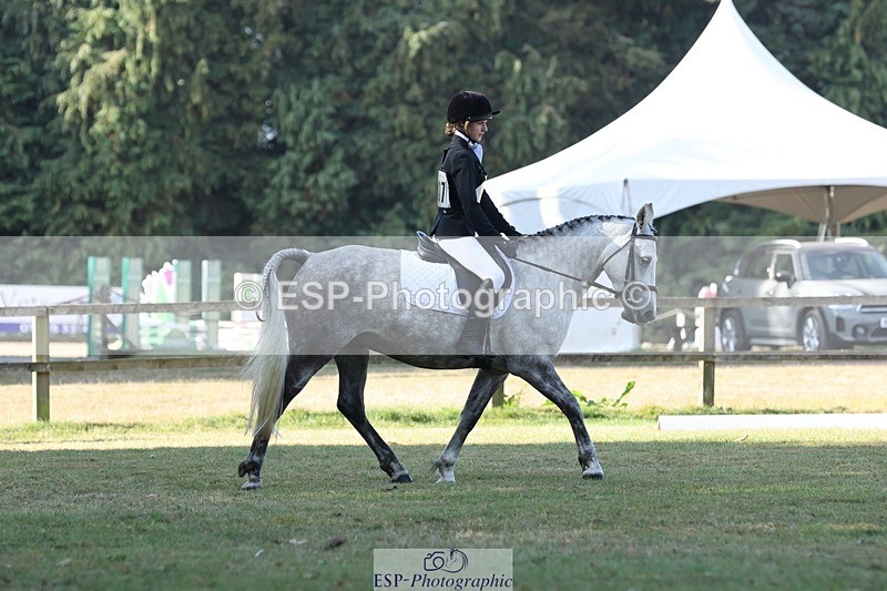 250823A-093627-26876 - Arena C