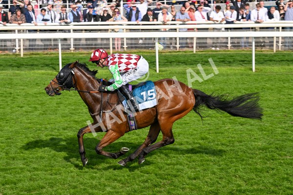 170524-Race 6-Riot-8541 - Race 6 4.45pm Yorkshire Equine Practice Handicap
