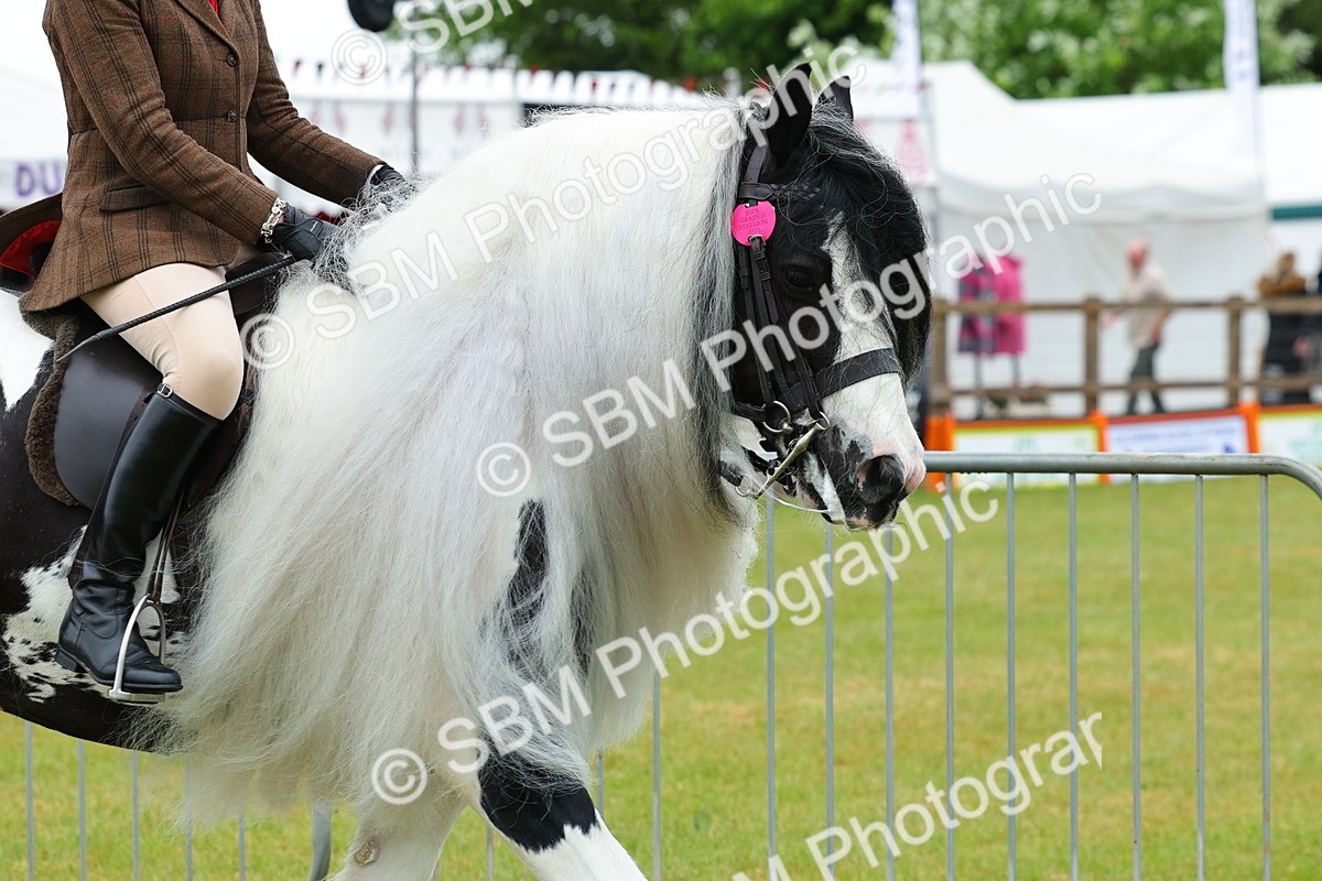 SBM_01127 - Class 1-4 - BSPA Ridden