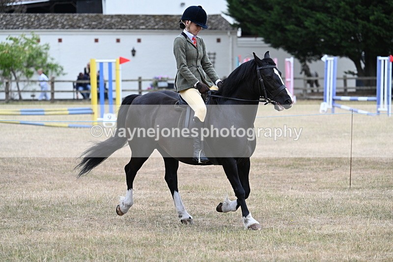 WJ7_0497 - Class 6 Ridden Mountain and Moorland