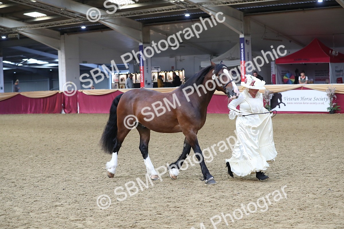SBM_10778 - Class 103 IH Costume