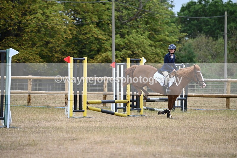 WJ6_0223 - Class 13 Novice Jumping 60cm