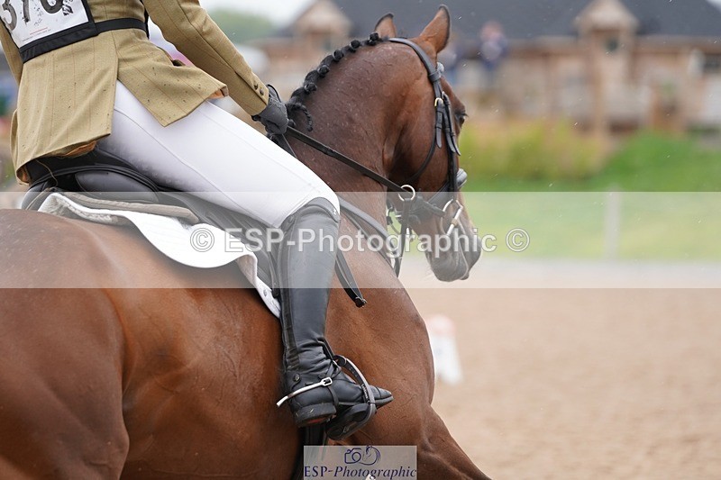 240901A-115114-06705 - 370-Sophie.Damment-SPRING.RISING