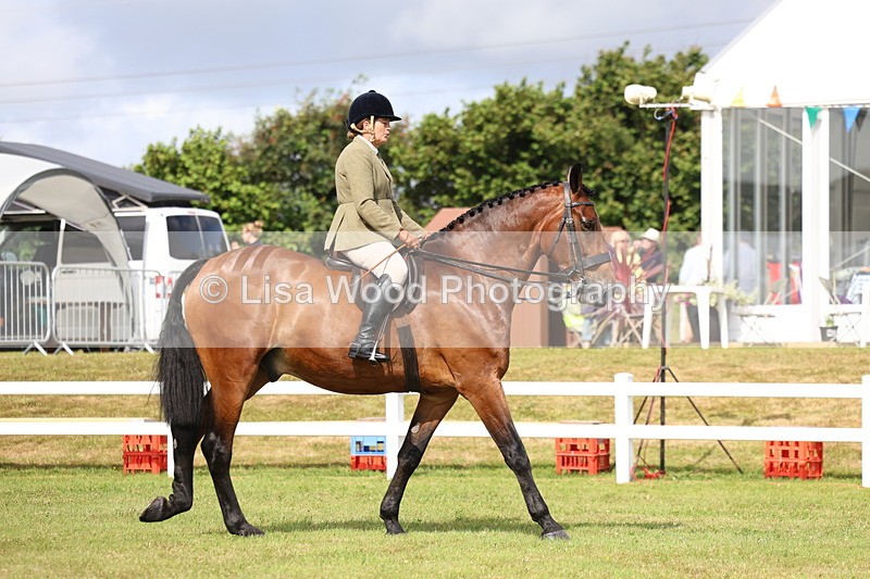 3E7A9246 - Class 4: Rising Star M/H Hunter