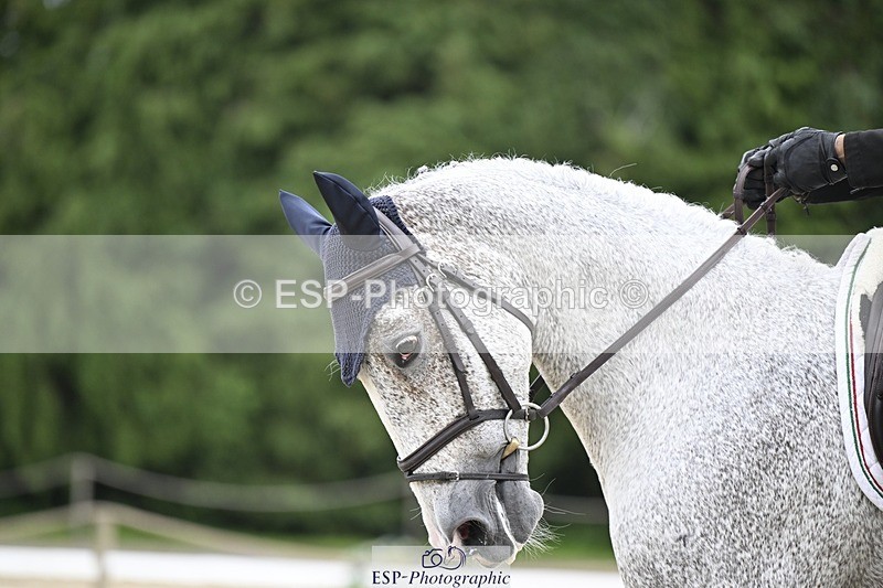 240523-171314-05667 - 451-CORNISH_REBEL-Alberto_Giugni