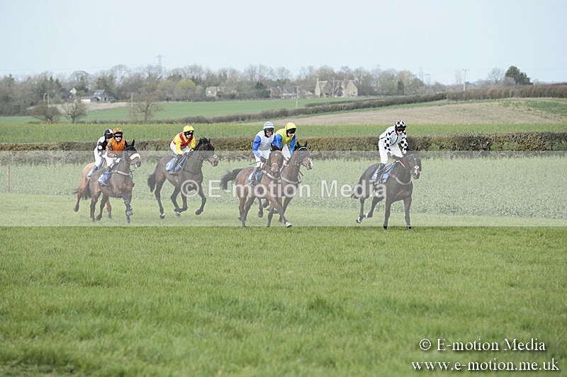 PtP 230319 239 - VWH Hunt Siddington Point-to-Point Racing 23/03/19