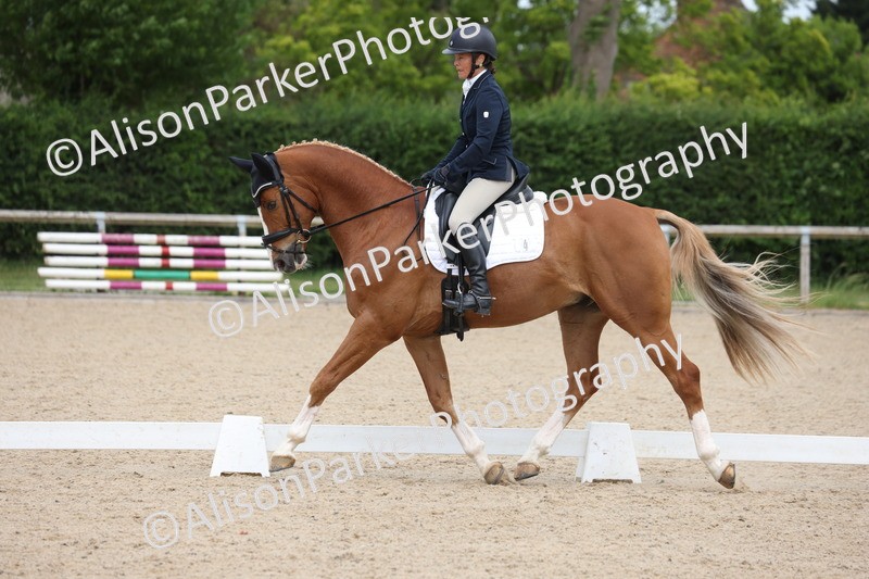 20250604-0459 - Class 3 - Novice 5