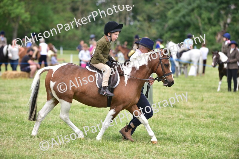 20260614-1397 - Class 11b - Lead Rein Pony (Plaited)