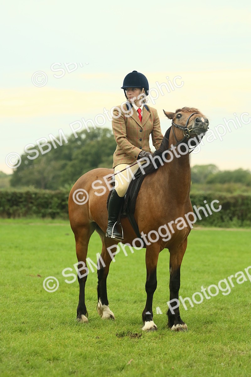 SBM_72235 - S60 - Mountain & Moorland Ridden Large Breeds