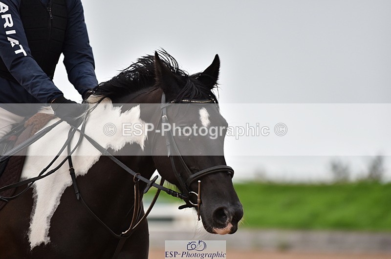 230808A-155628-00068 - 70cm