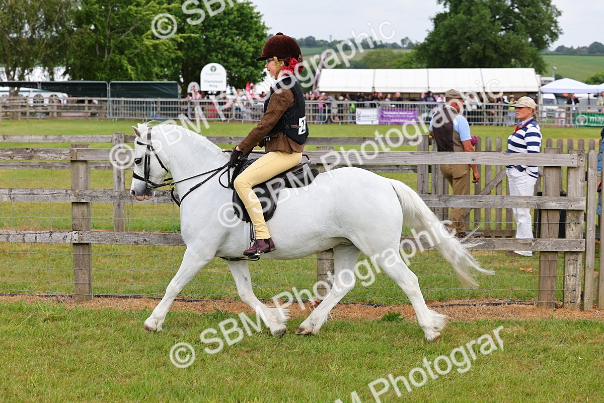 SBM_08578 - Class 42-43 - LIHS BSPS Heritage Working Sports Pony