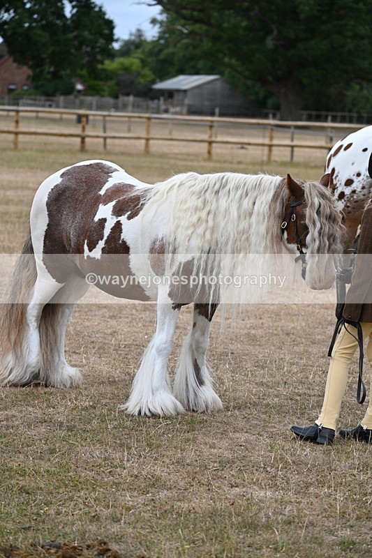 WJ6_8205 - Class 10 Coloured in Hand