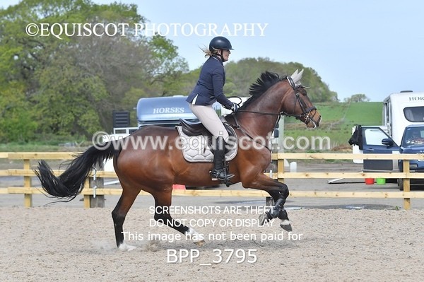 BPP_3795 - CLASS 3 Senior British Novice/ 90cm Open