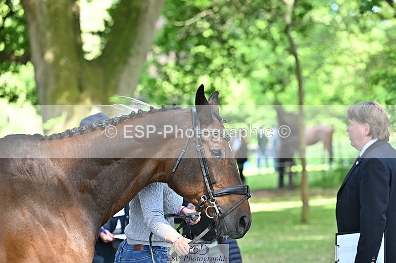 250521A-162852-01171 - C-225-Molly.Adams-QUINARA