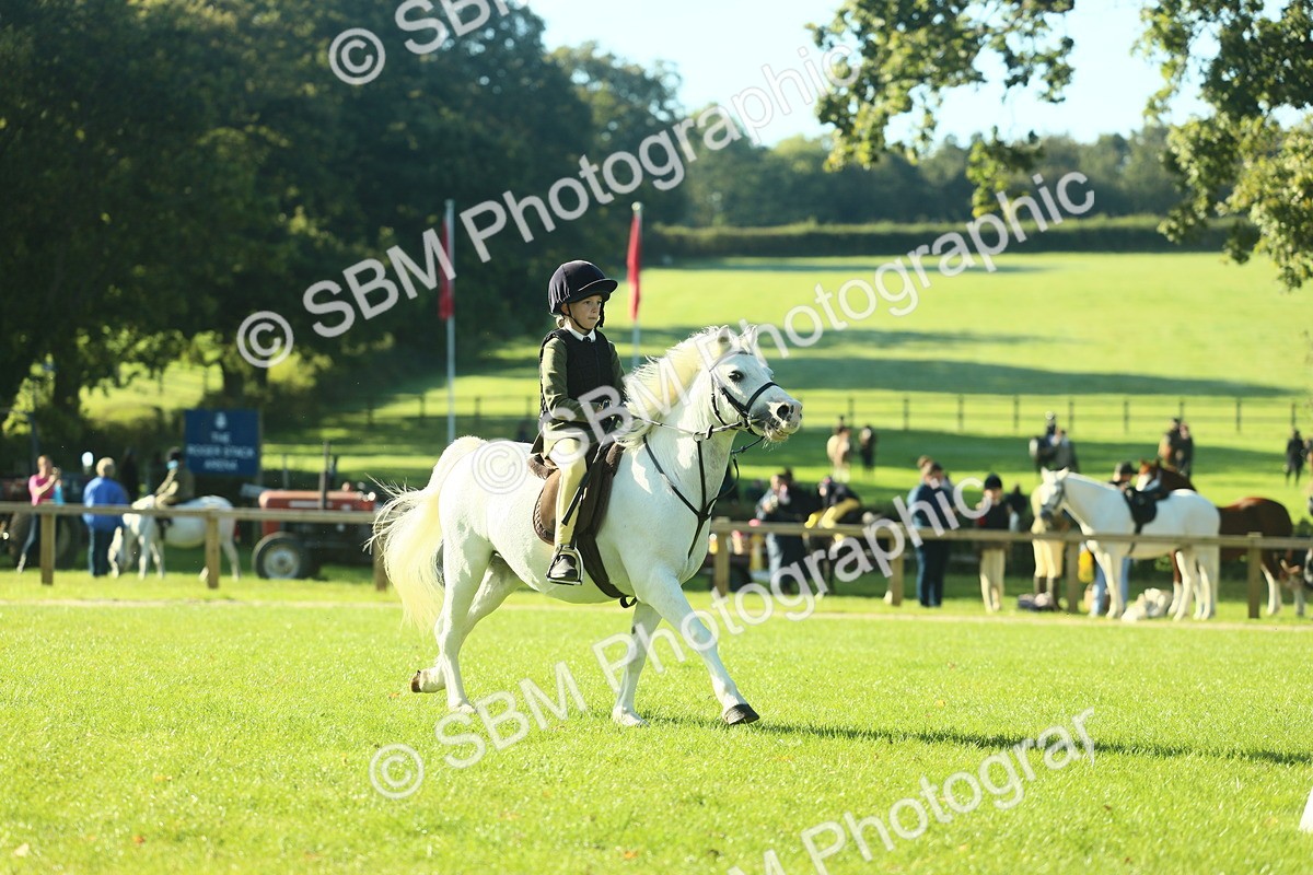 SBM_36376 - S29 - Novice & Newcomers Working Hunter Pony