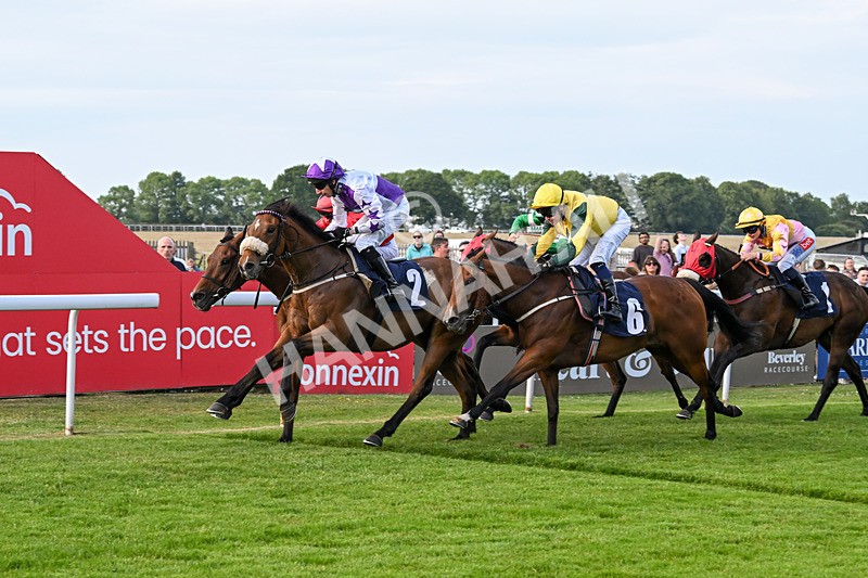 170625-Race 3-Dumfries-6436 - Race 3