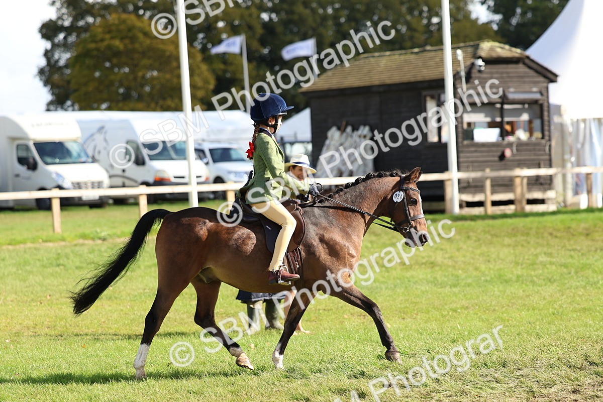 SBM_47761 - S28 - Veteran Ridden