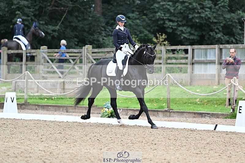 240810-102620-02666 - 235-Rebecca.Cowderoy-Nights.Dream