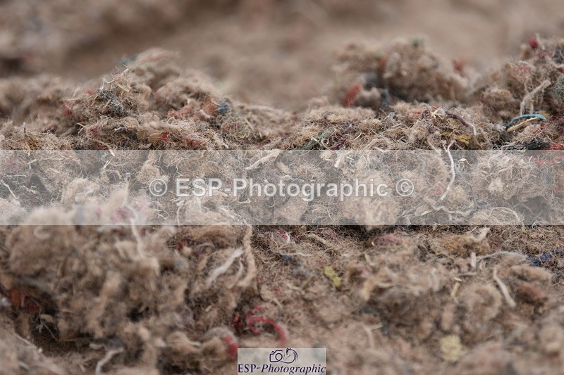 240623A-114112-17277 - Cls 47 BD Novice 22