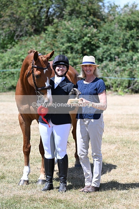 WJ7_2517 - Most Handsome Gelding Champs