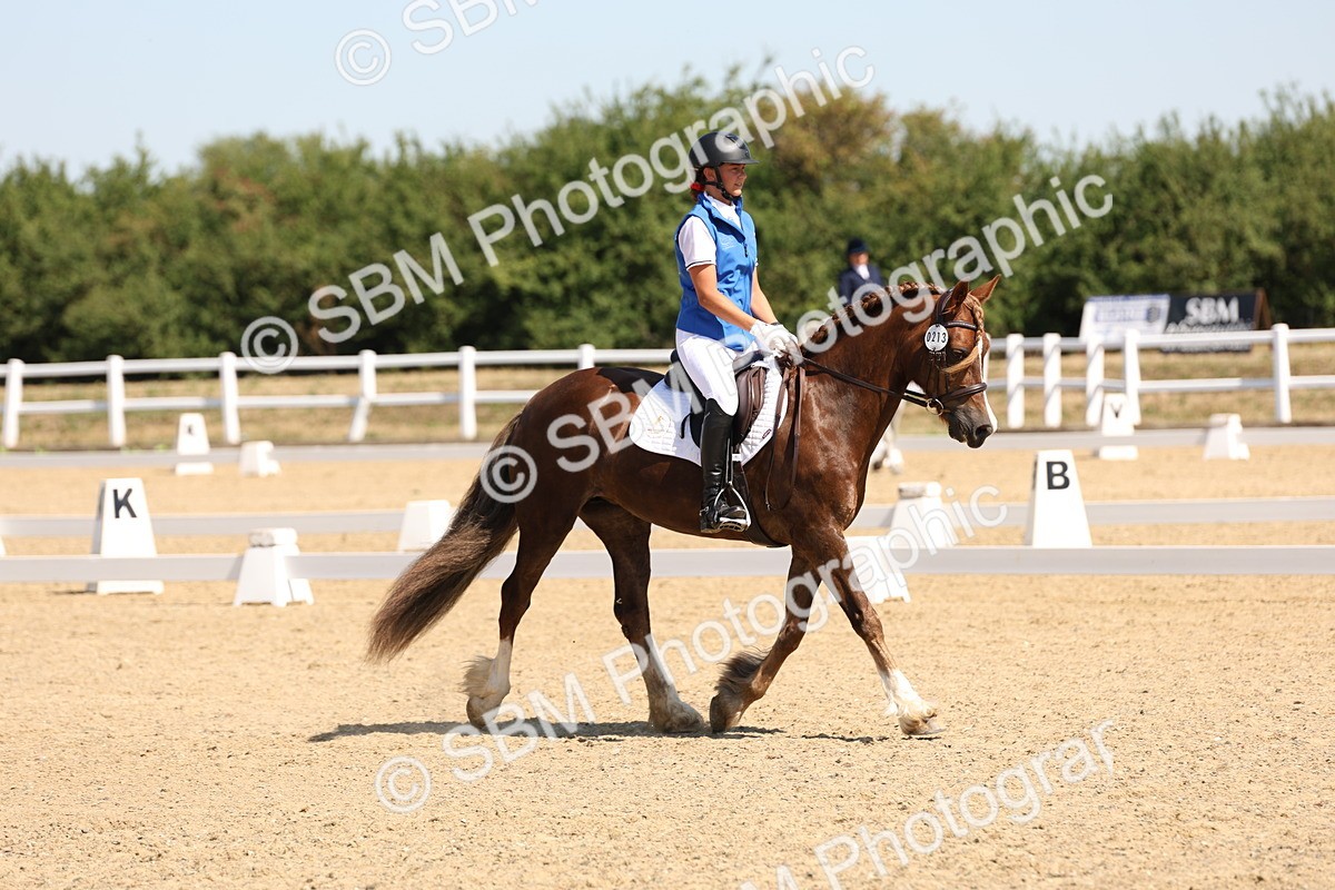 SBM_001120 - Intro 2