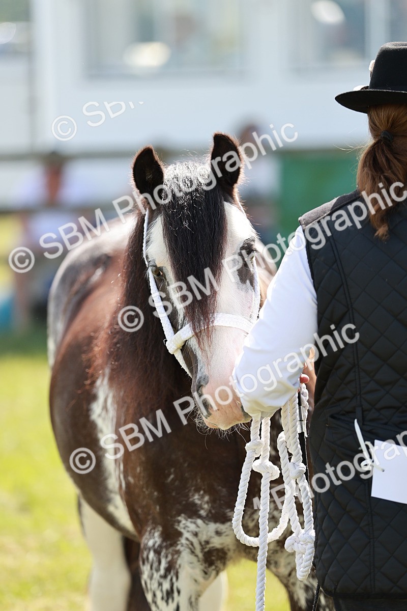 SBM_08668