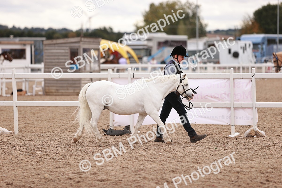 SBM_18462 - Class 420 - Ridden M&M