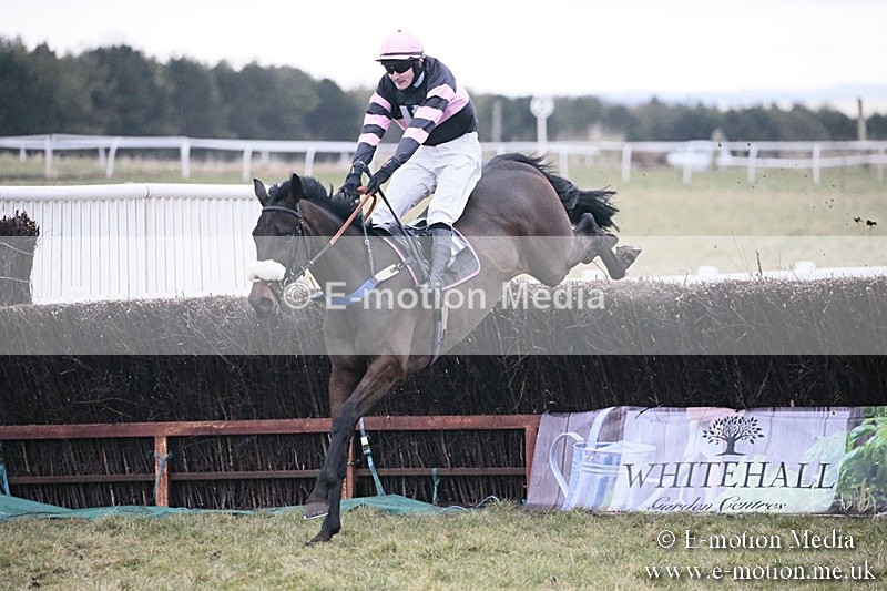 PtP 180218 872 - Combined Services Point-to-Point Larkhill 18/02/18
