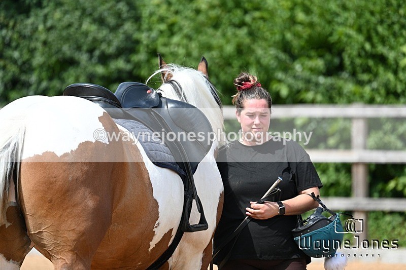 WJ7_6834 - Show Jumping at BCA