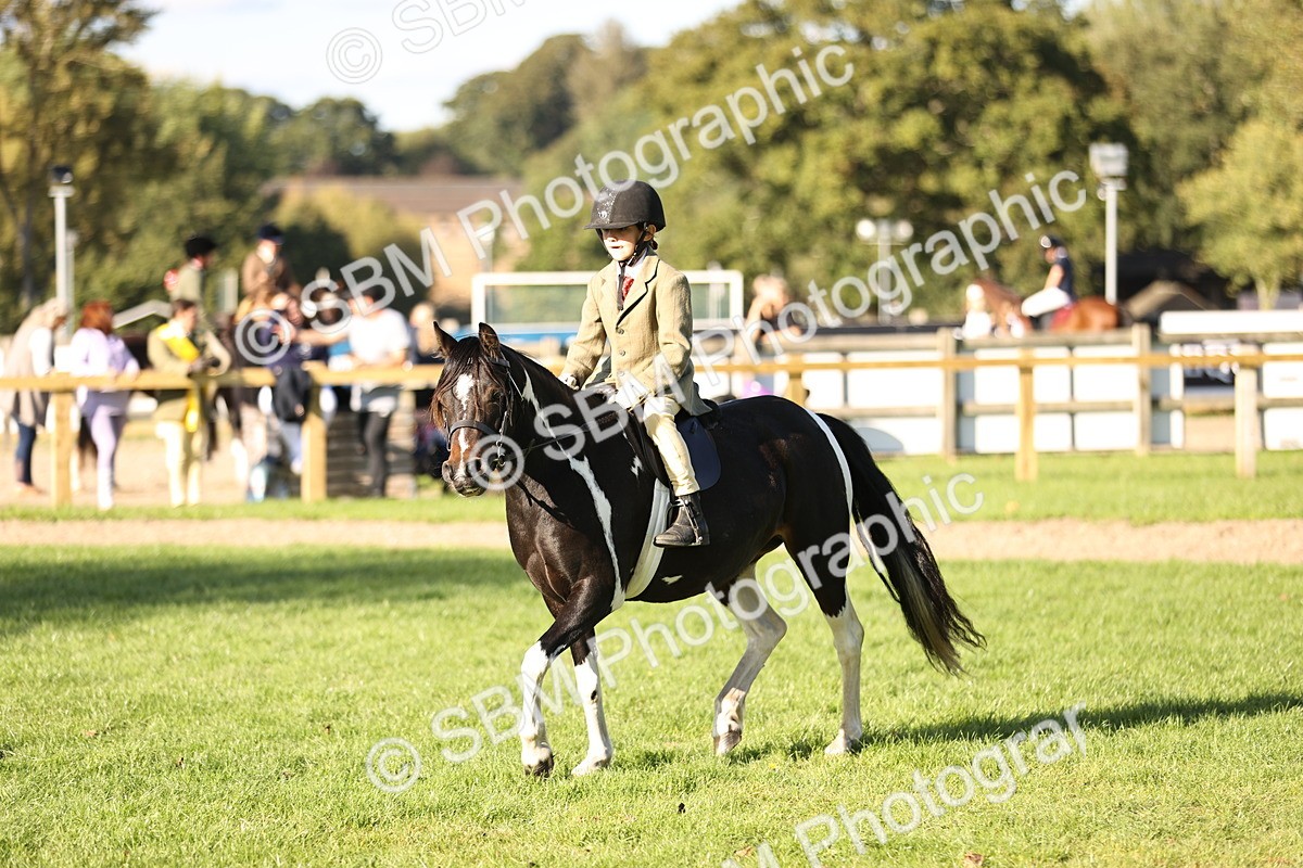 SBM_29416 - S7 - Novice & Newcomers Ridden Pony