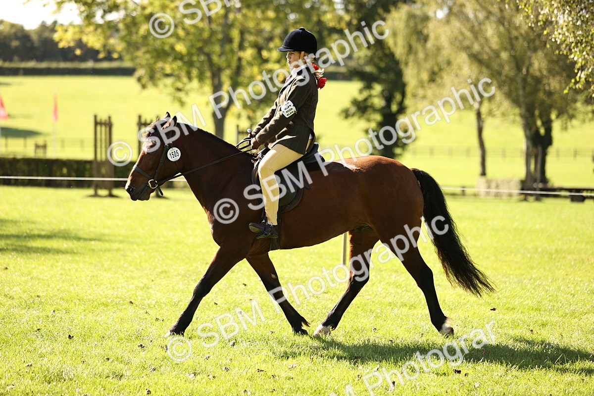 SBM_19106 - S3 - TSR Ridden Pony Showing