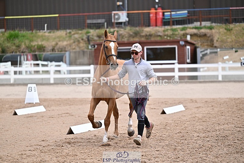 250716-133115-00556 - Trot Up 1.30 to 2.30