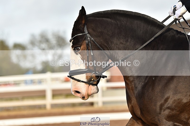 231104A-125332-01787 - Cls 8 Elementary 59