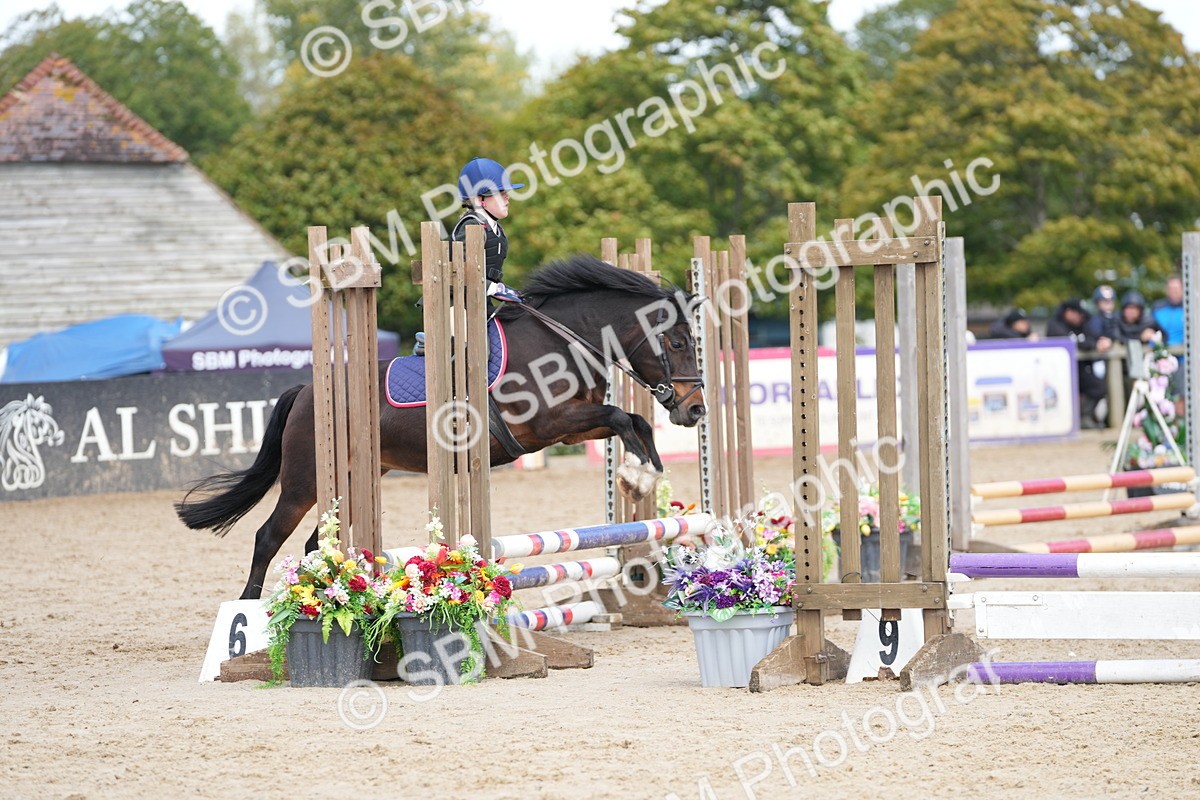 SBM_21332 - J49 - Open 50cm