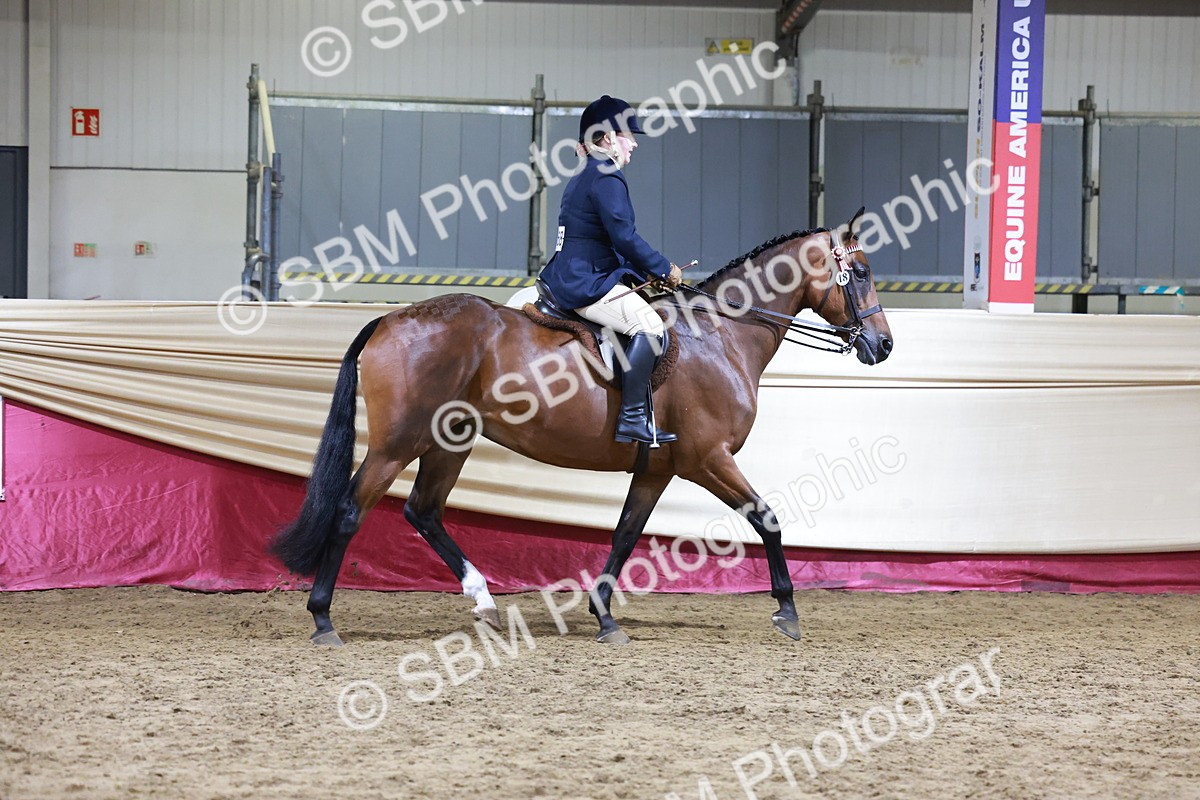 SBM_20696 - Class J - Foreign Breeds Champ