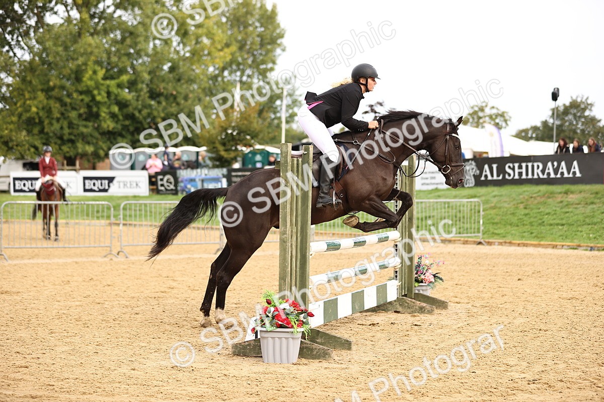 SBM_58486 - J41 - Grand Tour Horse & Pony 95cm