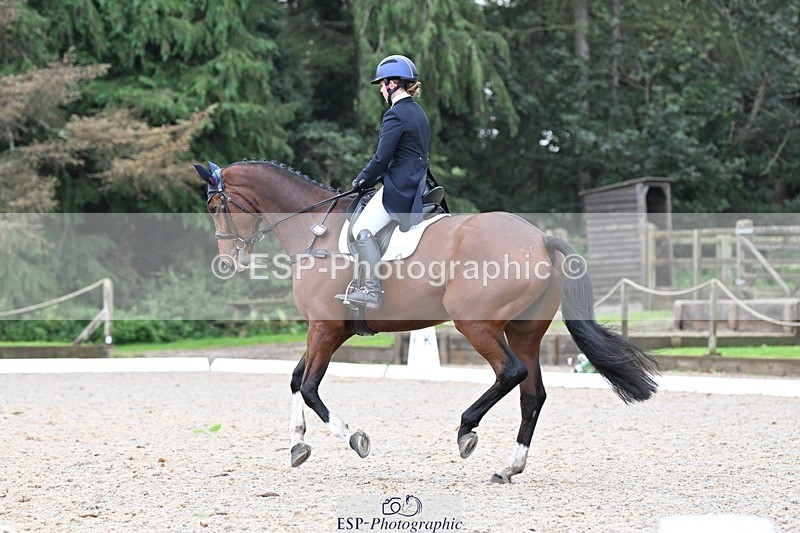 231019-113854-01863 - 040-DODINGTON-Sophie.Wildern-DR