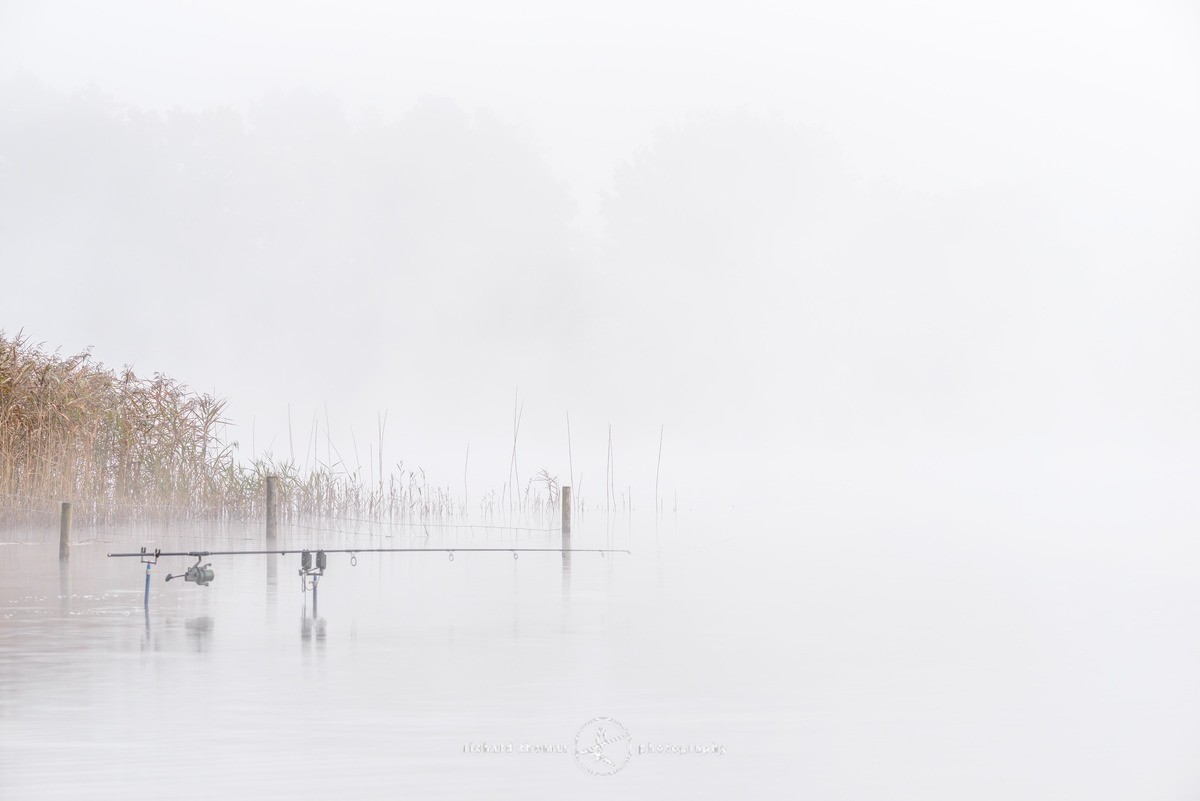 Gone Fishing II - Frensham