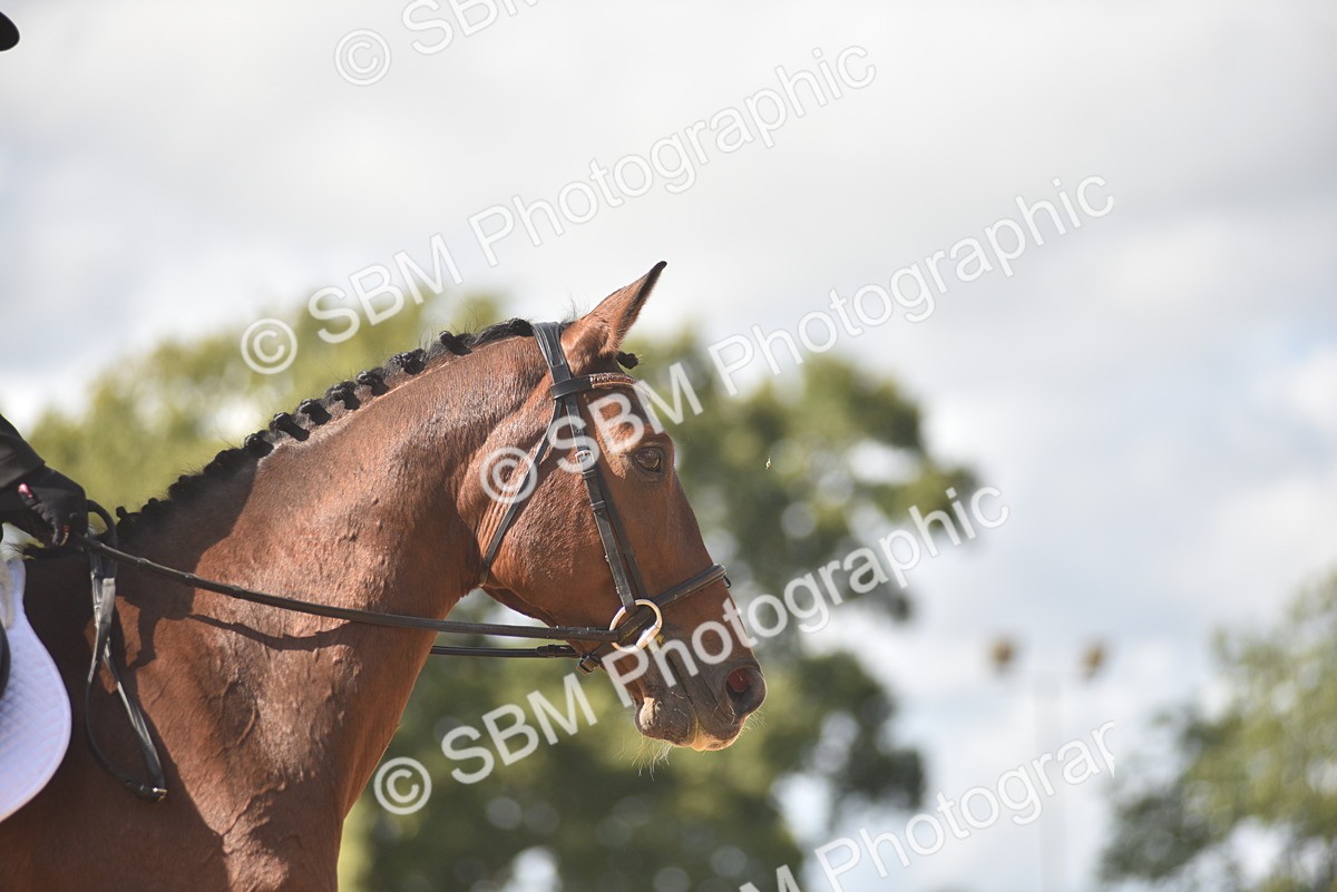 SBM_48740 - D22 - Junior Championship Intro 3