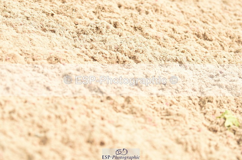 230813A-134446-13269 - Cls 49 Chard Eq 5yr Old Championship